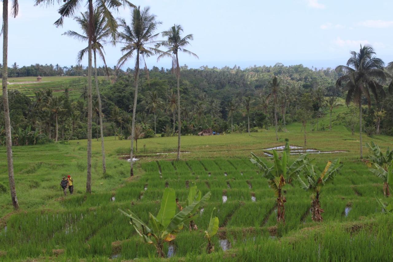 Agus Hidden Homestay - Banjar Sweet Village Banyuwangi  Exteriör bild