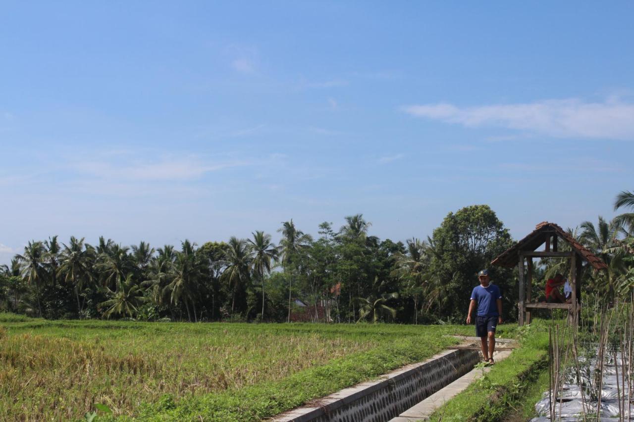 Agus Hidden Homestay - Banjar Sweet Village Banyuwangi  Exteriör bild